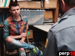 Petty theft - the suspect nineteen yr elderly guy