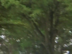 Watch these two kinky straight boys get their pussies pounded in Hetero Studs' hot pounding