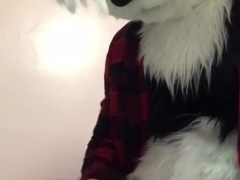 Panda Fumbling Off