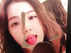 BLACKPINK Jisoo cum tribute #1