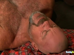 Dale Cooper, Allen Silver And Mick Powers - Muscular Dilfs Breed Raw Hunks Ass With Their Veiny Cocks