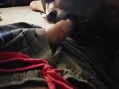 Getting My Dick Sucked.