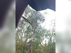 Alone in the Woods