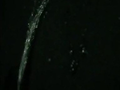 Parking Lot Piss 5