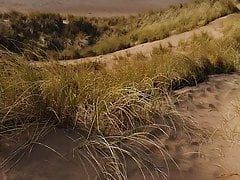 Beach cum