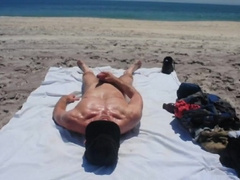 BEEF WHISTLE AT THE BEACH