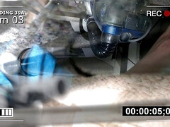 Cock spot erotic crook