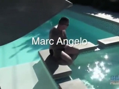 BEARS IN THE POOL - URSOS NA PISCINA