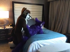 Felix pounds Zeek