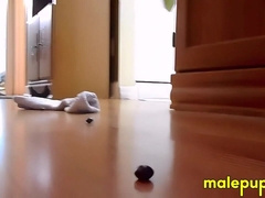 You slowly move through the house to see the giant Jeff Drizzle relaxing