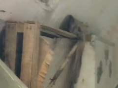 Amateur Asians Daddy Webcam