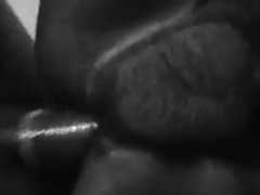 Massive Sri Lankan Cock