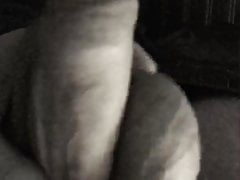 Thick uncut veiny cock getting hard