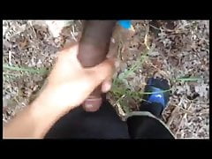 In the woods