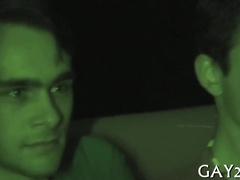 These studs are hot and horny - a little bit wild!