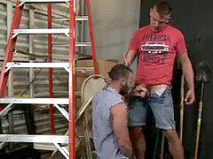 multiracial duo shag at work