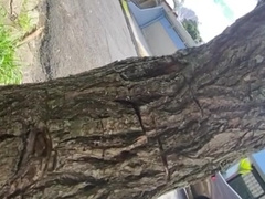 Public urinating in slow movement