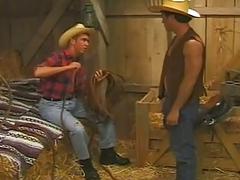 Horny gay cowboys suck dick and fuck ass in the stable