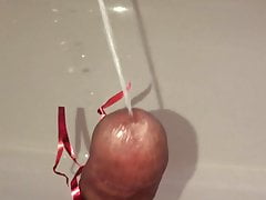 Bondage hand free male orgasm