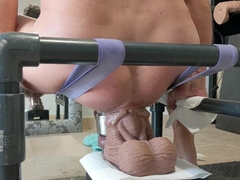 The Seahorse XL is meaty