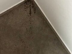 Dirty Carpet Wall Piss