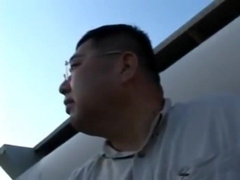 japanese chubby bear solo