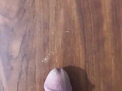 My white cock