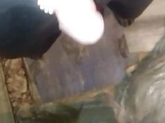 Asian old cock