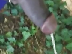 Black bull pee pee