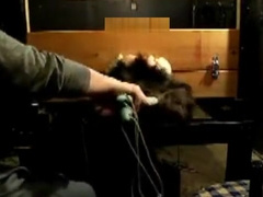 Tickle 100 - II Re- Mastered