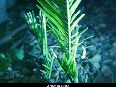 How to Navigate a Sophisticated Appeal: Max's Story