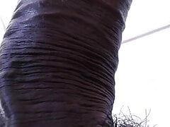 DO NOT WATCH THIS VIDEO, IT HAS A SURPRISE IN IT PLEASE DO NOT WATCH, XHAMSTER 237