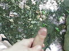 jerking in the woods again