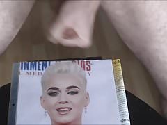 katy perry tribute