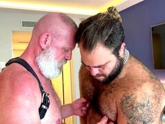 Bear cum, rimming, fat bears