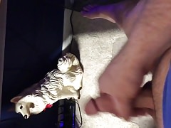 Jacking off to porn