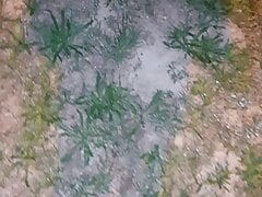 fast outdoor pissing