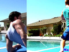 Teddy, outdoor, hd videos