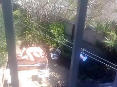 in the garden