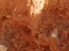 Public Onanism at the Beach