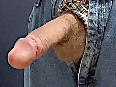Hard cock sticking out of jeans