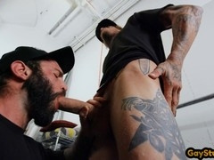 Inked hairy bear gets pounded in the ass missionary style