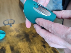 Attempting out the Lovense Gush