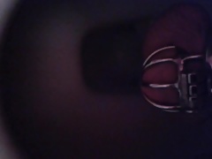Petit pipi en cage.mp4