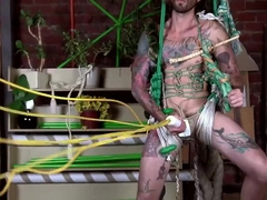 NUDE AUSTRALIAN BEARS