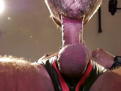 Hans Berlin special edition - DVD