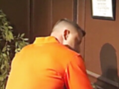 gonzo muscle otters in the office