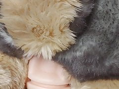 Puppy uses a new toy 1