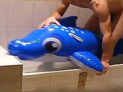 dolphin in the tub