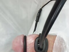 Estim milking